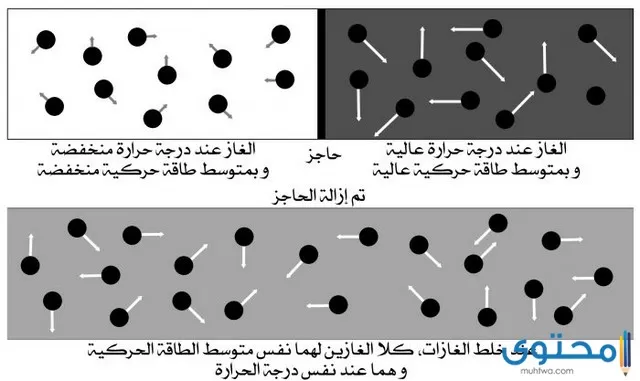 نظرية الحركة الجزئية