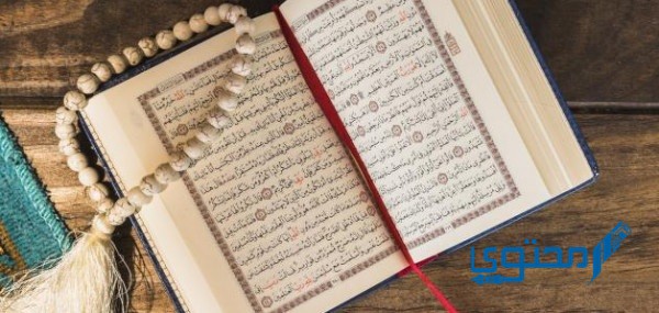 فضل قراءة القرآن في عشر ذي الحجة