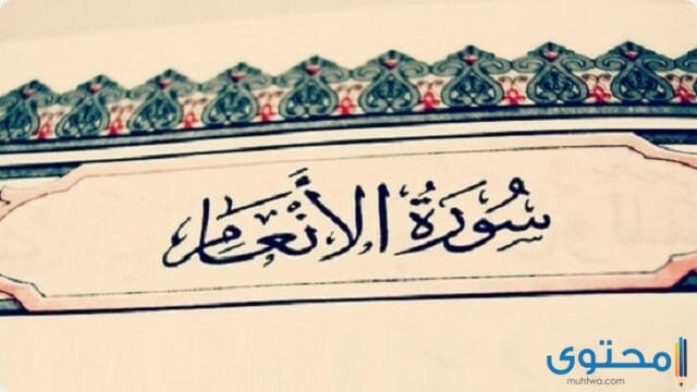 فضل قراءة سورة الأنعام لقضاء الحوائج 1 سورة الأنعام