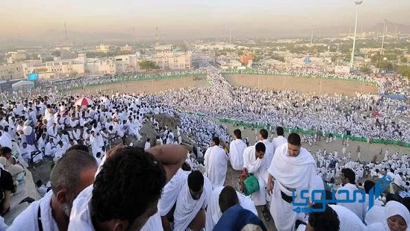 فضل يوم عرفة للحاج وغير الحاج وأحب الأعمال في عرفة