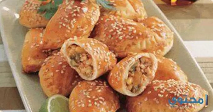 الدجاج7