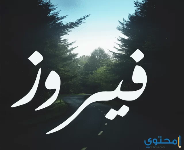 فيروز