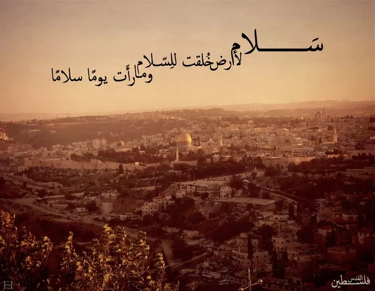 7 قصائد واشعار عن فلسطين المحتلة معبرة جداً