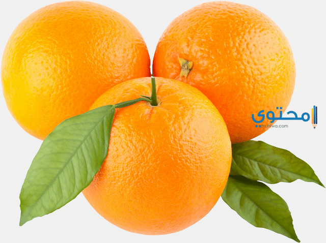 فوائد البرتقال للحامل4