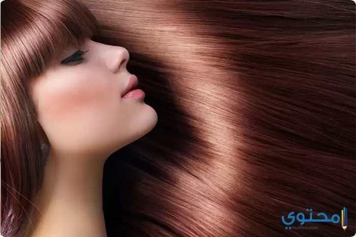 كيفية استخدام زيت الزيتون لتطويل الشعر