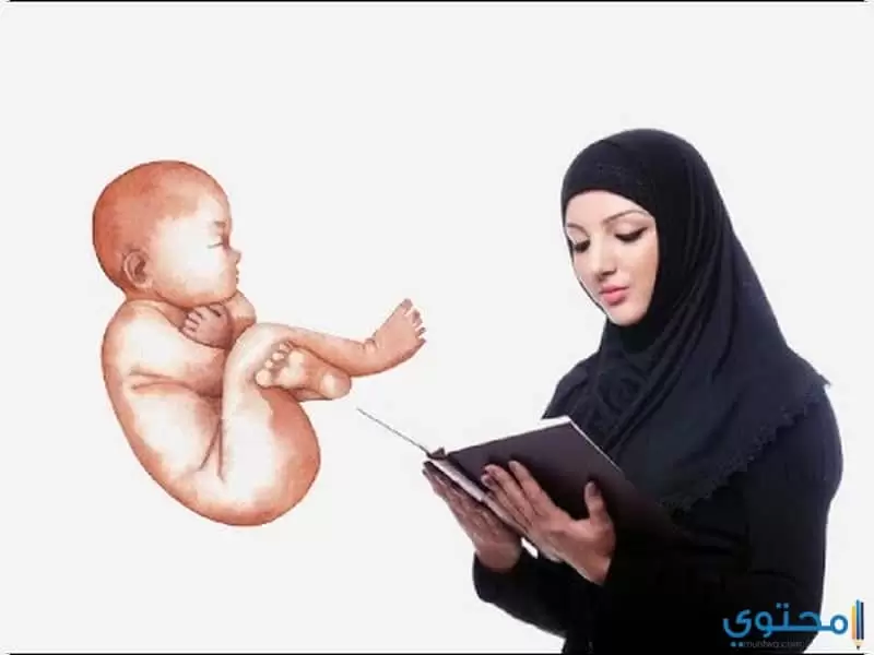 قراءة القرآن الكريم للحامل1