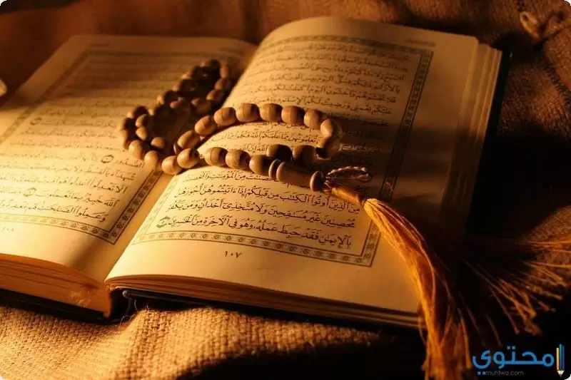 فوائد قراءة القرآن الكريم يوميا
