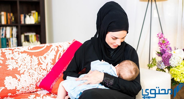 فوائد ياميش رمضان للحامل والمرضعة