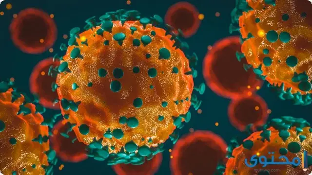 فيروس كورونا
