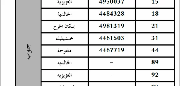 روضات حكومية في السعودية