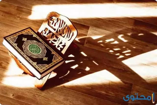 قراءه القرآن في صلاة التراويح