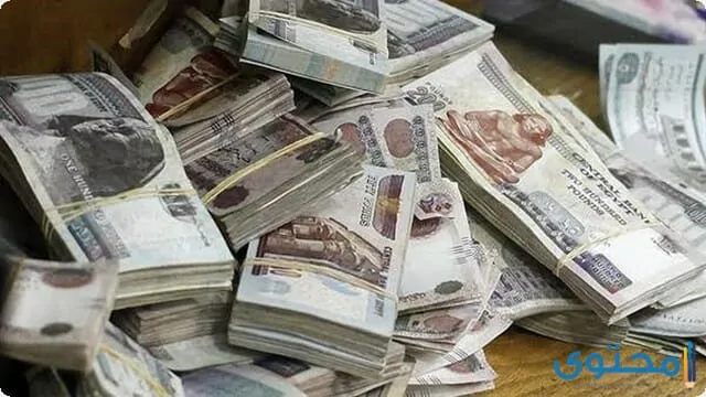 كيفية الحصول على قرض في مصر 2023