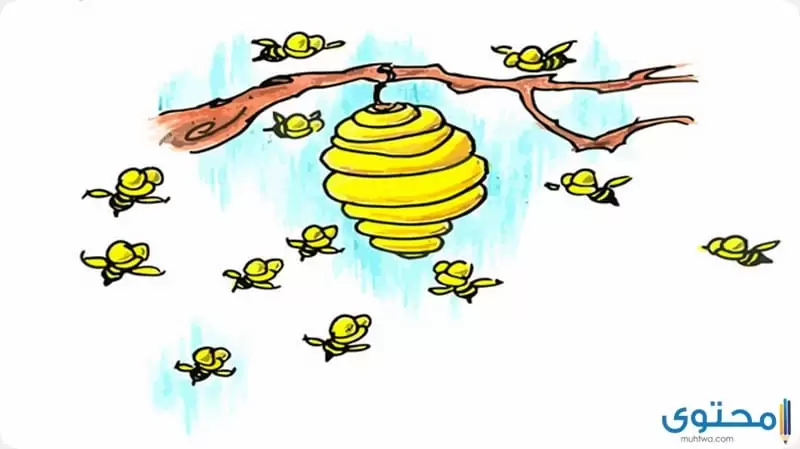 قصة خلية النحل