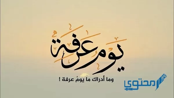 قصتي مع الدعاء يوم عرفة