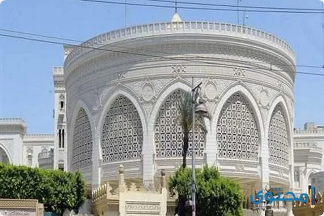 الاتحادية1
