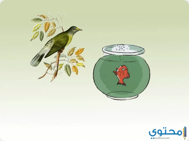 قصص للأطفال مكتوبة تجلب النوم 2023 اكثر من 30 قصة