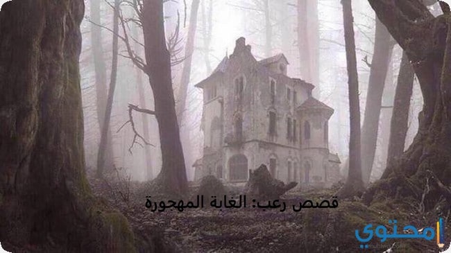 قصة الغابة أشباح الغابة المخيفة مكتوبة 1 قصة الغابة أشباح الغابة