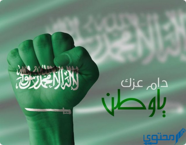 افضل قصيدة عن اليوم الوطني السعودي 93 1 قصيدة عن اليوم الوطني السعودي