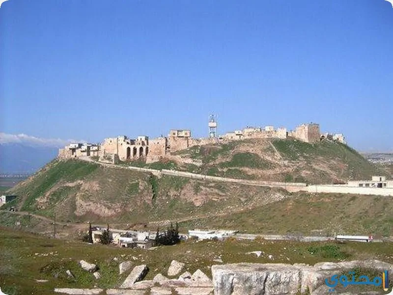 قلعة المضيق1