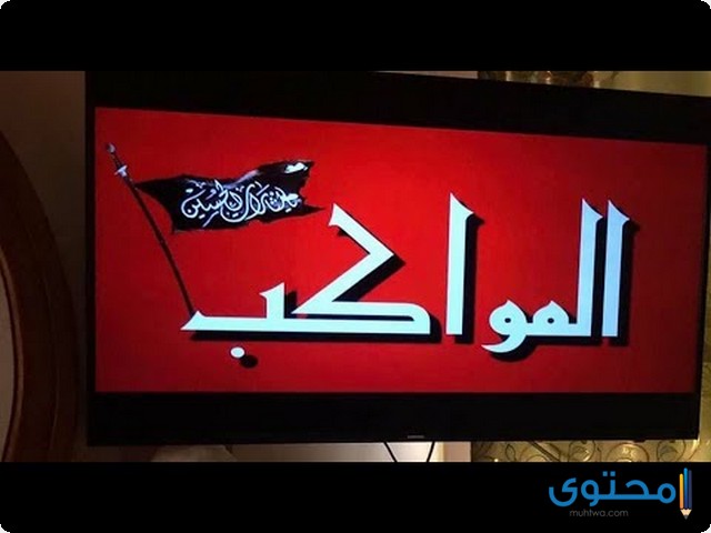 قناة-المواكب2.jpg
