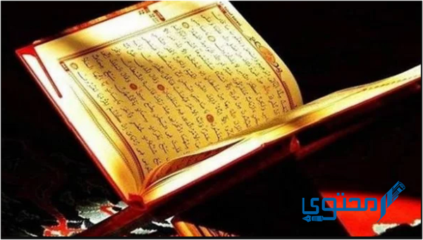 قيمة كفارة اليمين في مصر 2023 1 قيمة كفارة اليمين في مصر