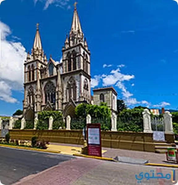 كاتدرائية سالفادور