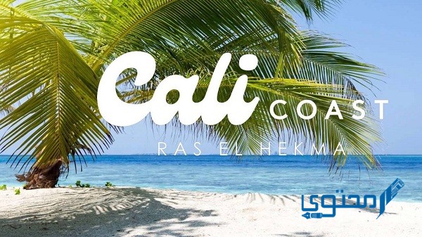كالي كوست الساحل الشمالي 2022 Cali Coast