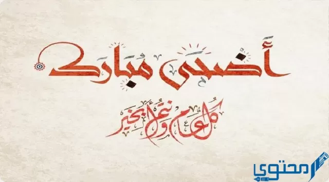 كل سنة وانتم طيبين