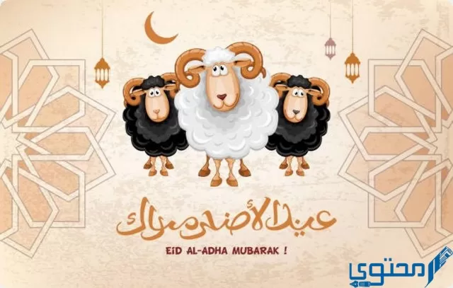 كل سنة وانتم طيبين