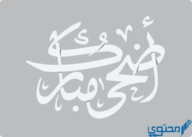 كل سنة وانتم طيبين