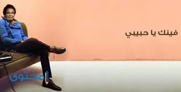 كلمات أغنية فينك يا حبيبي محمد منير