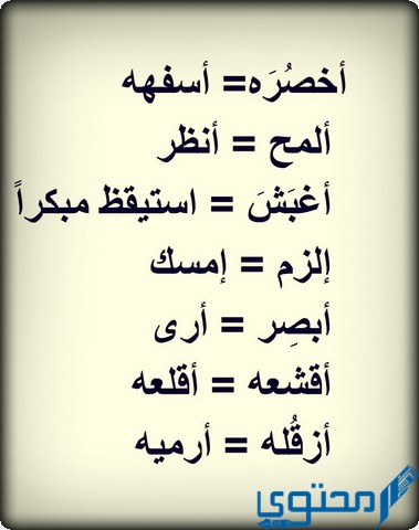 كلمات سعودية سب