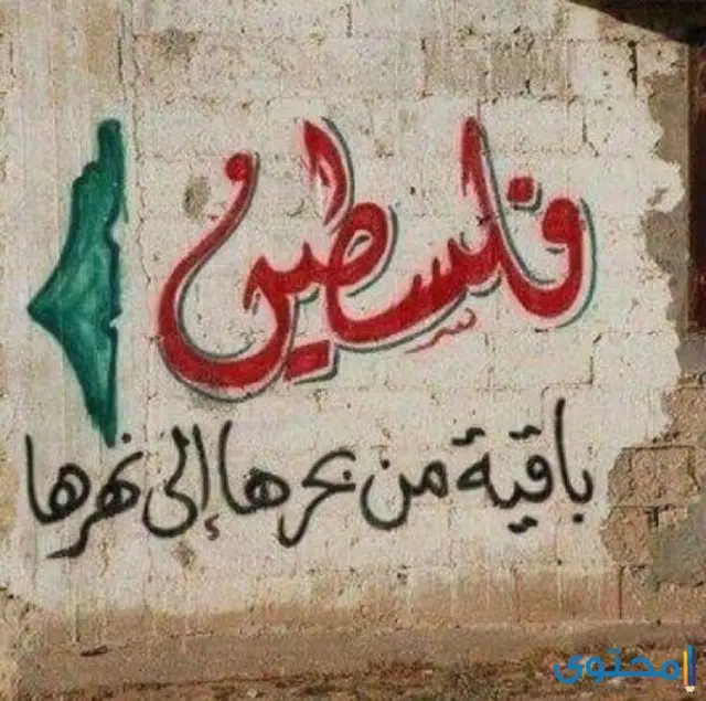 بوستات عن القدس وفلسطين المحتلة مؤثرة تحمل عبارات مؤلمة