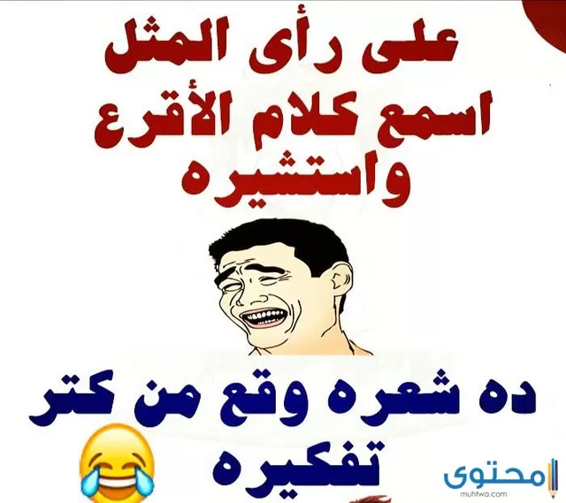 كلمات مضحكة