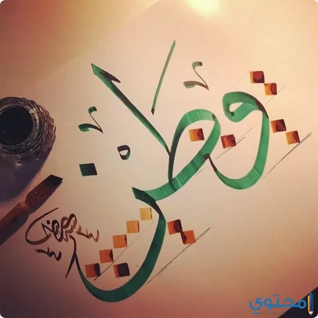 الصباح عن الوطن1