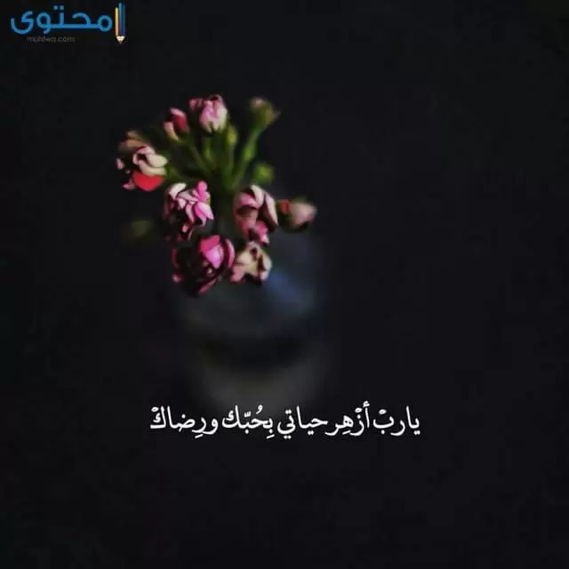 دعاء كلمات يارب