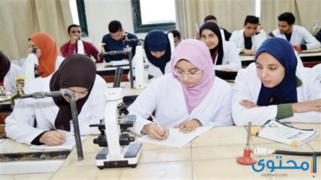 كليات علمي علوم واقسامها في مصر المرحة الاولي 1 كليات علمي العلوم