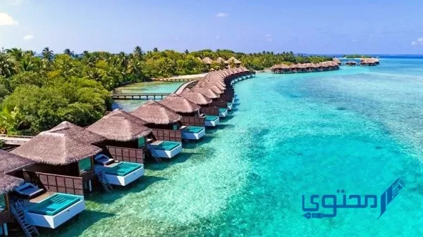 كم سعر تذكرة جزر المالديف من السعودية ؟ وشروط السفر لجزر المالديف