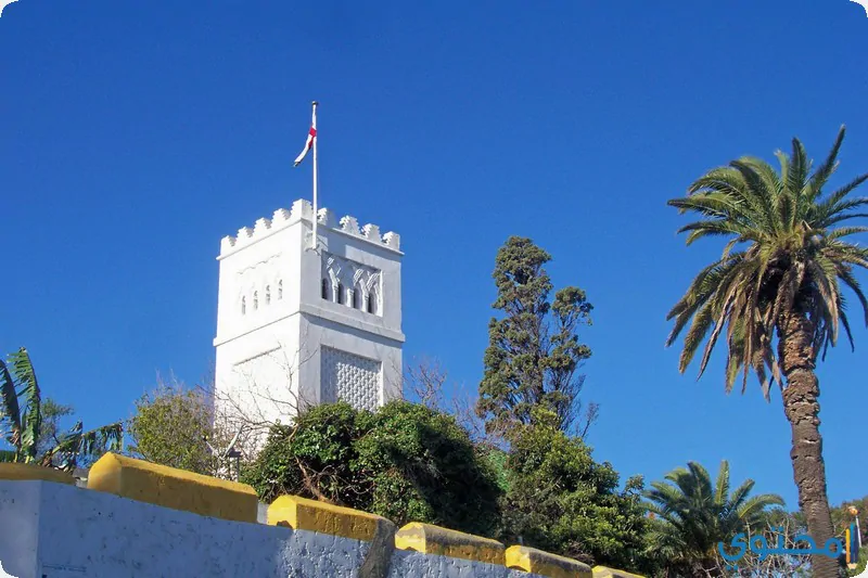 أندرو1