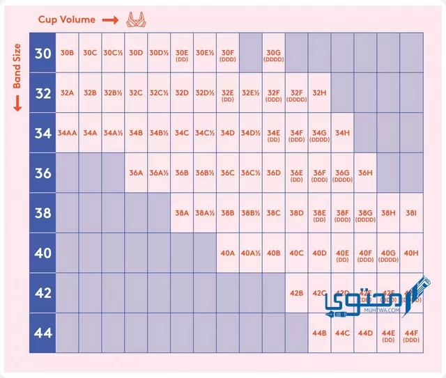 كيف أعرف مقاس حمالة الصدر بالأحرف؟