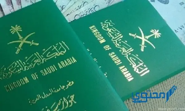 جواز السفر الإلكتروني السعودي