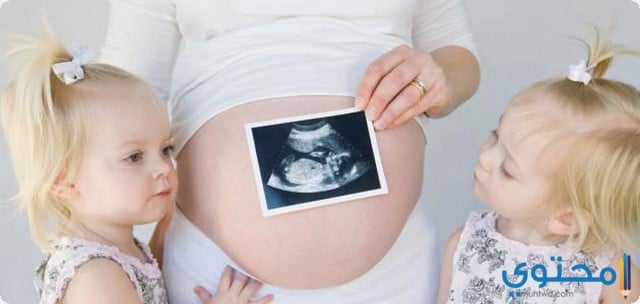 كيف اعرف اني حامل بتوأم من التحليل المنزلي موقع محتوى