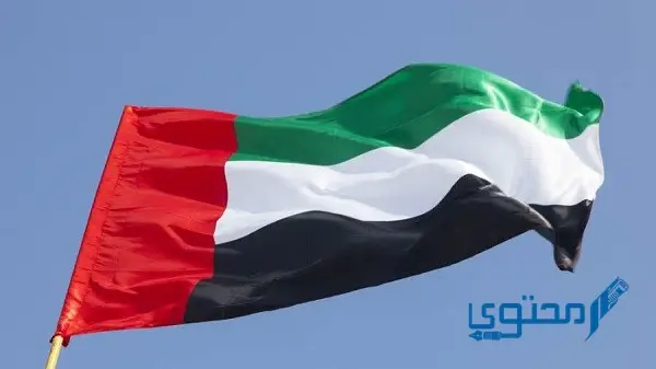 كيف سخرت الإمارات العلم في خدمة العالم
