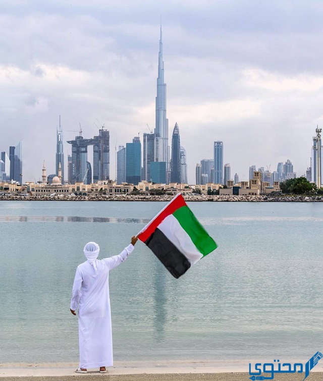 كيف يتم اختيار رئيس الإمارات