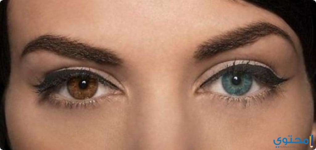 كيف يمكن تغيير لون العينين بطريقة طبيعية