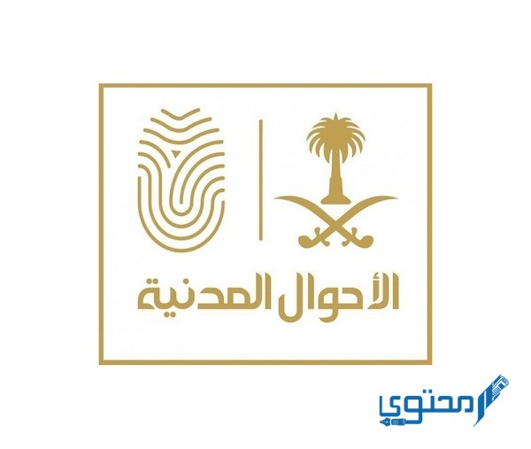 كيفية استخراج شهادة ميلاد مصرية لمواليد السعودية