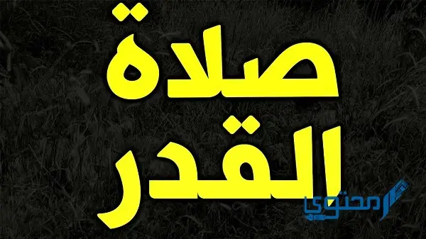 كيفية صلاة القدر عند الشيعة