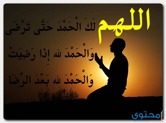 الحمدلله حتى ترضى ولك الحمد بعد الرضا