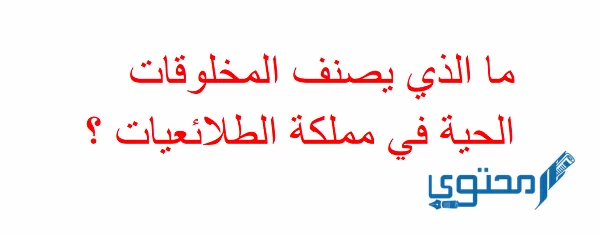 المخلوقات الحية في مملكة الطلائعيات