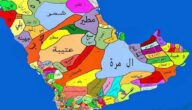 ما هو اكثر عدد قبيلة في الكويت